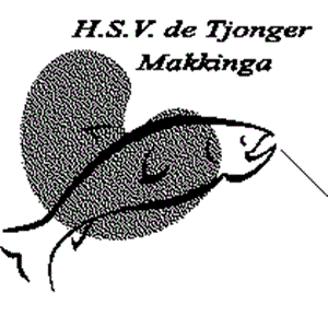 HSV De Tjonger